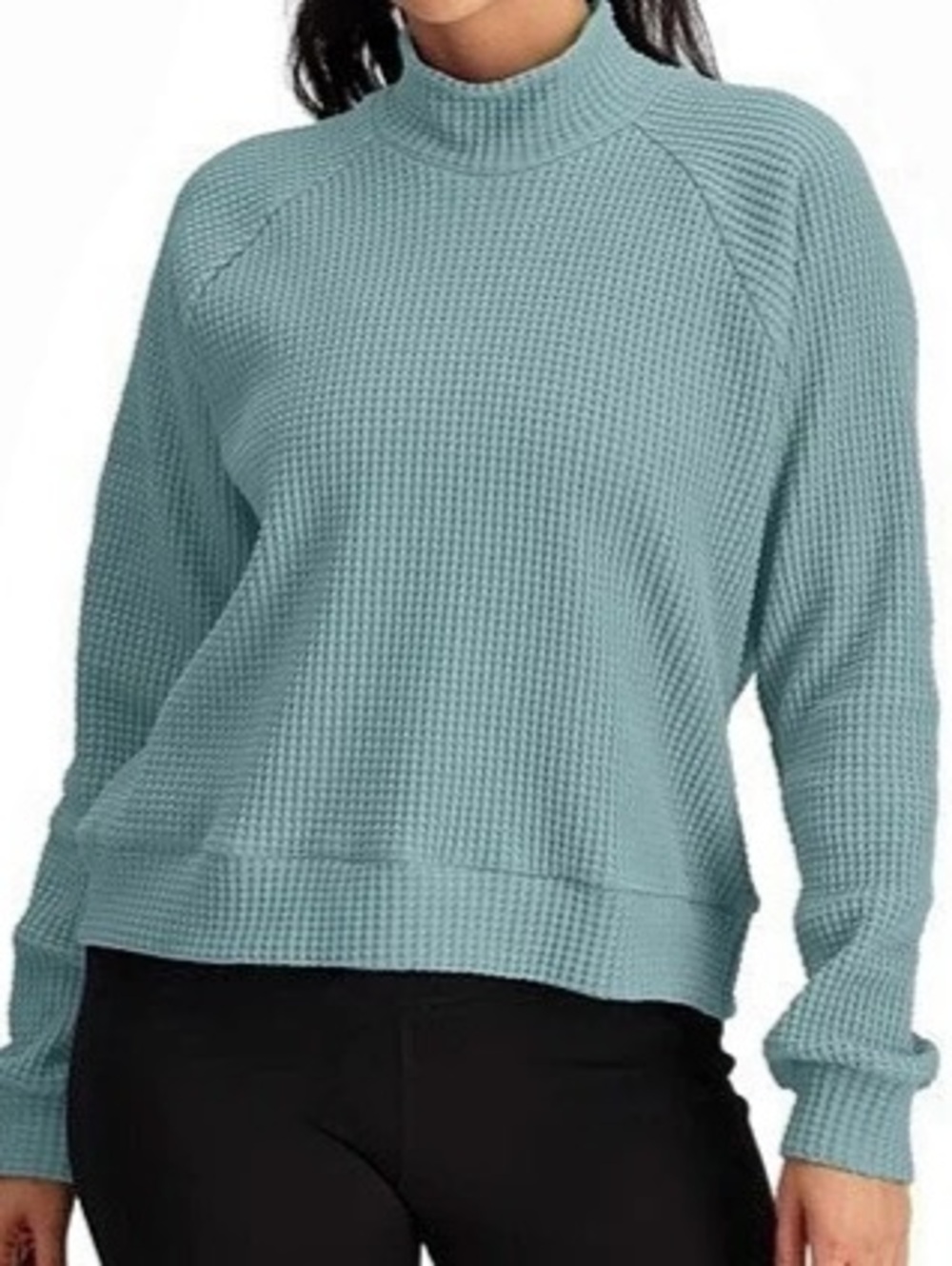 The North Face Women's Long-Sleeve Mock Neck Chabot Top Blue XL
